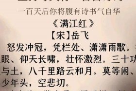 评价岳飞的精美词句；评价岳飞的四字词语