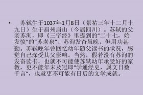 中国著名书法家苏轼的故事 - 中国著名书法家苏轼的故事有哪些