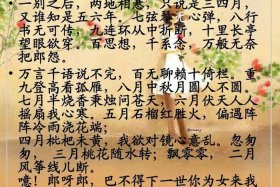 司马相如事迹 - 司马相如的事迹