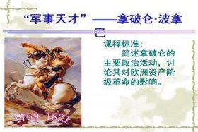 拿破仑历史人物评价（拿破仑历史人物评价100字）