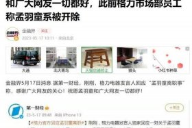 中国网络没脑子人真多、中国网友没有逻辑