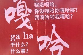 用东北话介绍东北人 - 介绍一下东北话