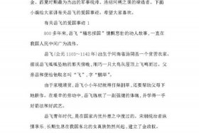 岳飞人物事例（岳飞人物事例简短）