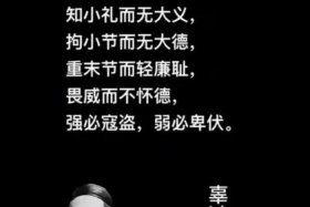 历史人评价日本（历史人评价日本人）