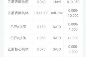 中国人乙肝比率；中国人乙肝比率是多少