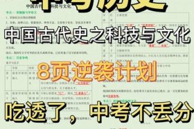 中国历史人物小传图文并茂（中国古代史历史人物小传500字）