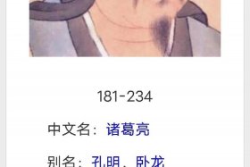 对于诸葛亮的人物分析；对诸葛亮这一人物形象有什么作用