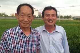 人物事例袁隆平、人物事迹素材袁隆平