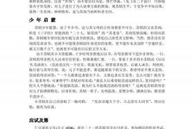 英语历史人物介绍苏轼（苏轼简介英语）