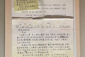 谈谈你对历史的认识和理解，谈谈对历史的认识100作文