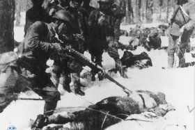 中国历史人物挨打视频（中国挨打的历史）