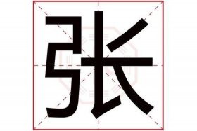 姓张的著名人物（姓张的著名人物简介200字）