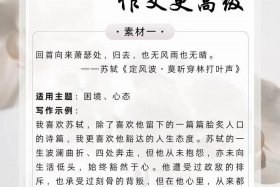 用英语介绍苏轼作文 - 苏轼英文作文