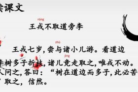 怎么讲历史人物故事王戎 讲历史人物故事作文400字王戎