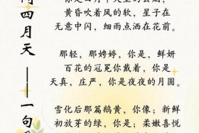 林徽因人物事迹，林徽因的事迹及品质50字