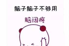 没有脑子的人是什么意思 - 没有脑子怎么办？