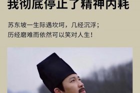 中国历史故事苏轼 苏轼历史那些事