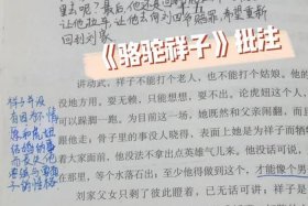 历史怎么批注；历史的批评方法