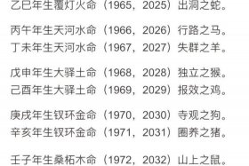历史人物生辰八字（历史人物生辰八字排名）