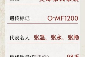 历史上有名的张姓名人（历史中有哪些名人姓张）