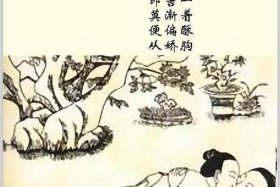 初一中国历史图册、初一历史图画