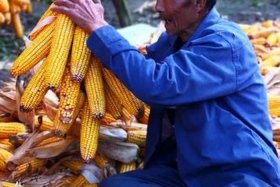 勤劳智慧的人有哪些 勤劳智慧的人有哪些人