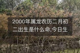 历史上2月初2出生的名人；农历二月初二出生的名人