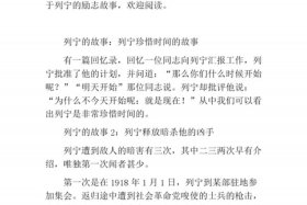 列宁人物成就（列宁的例子）