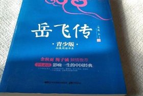 岳飞传青少年电子书 - 岳飞传青少年电子书免费阅读