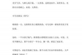 作文司马光的故事（司马光的故事300个字以上的作文有）