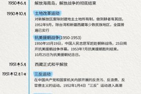 中国历史评论，中国历史评论家