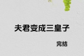 历史人物传奇系列皇子故事 - 历史人物传奇系列皇子故事大全