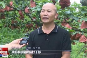 贵州人物排行榜、贵州人物排行榜最新