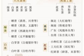 中国茶道有记载的历史有多长？；中国茶道的发展史