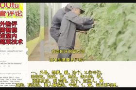 老外热评中国历史人物视频；外国网友热议中国历史