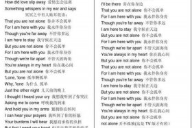 老外翻译中国歌词（老外把中文歌曲翻唱英文）