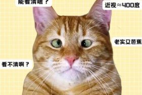 历史人物中谁是近视眼；历史人物中谁是近视眼杜牧