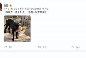 评论金星金星的文章 金星发文点评