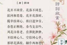 中国历史上的才女、中国历史的才女诗词