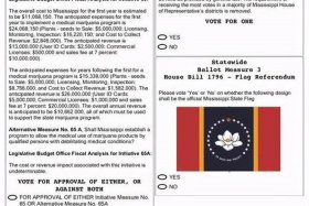 评价美国选举 - 评价美国大选