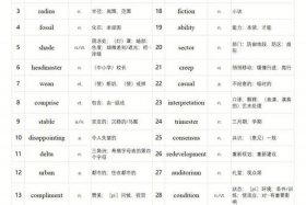 雅思中国的特色词汇，雅思中国的特色词汇英语