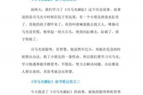 中国历史人物司马光的作文怎么写 - 司马光人物介绍作文