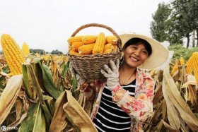 中国人的生活是什么样的 中国人是怎样生活