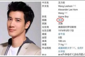 美国籍的中国名人榜单（美籍中国明星有哪些）