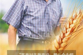 袁隆平人物事迹和精神；袁隆平人物事迹和精神简短