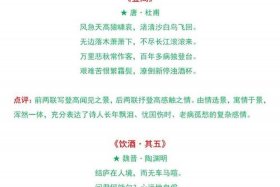 中国历史巅峰诗词（中国诗词巅峰时期）