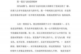 爱国历史人物作文800字，历史人物爱国作文500字作文