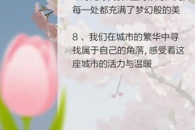城市代言词，代言城市句子
