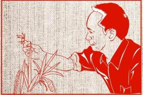 袁隆平人物事列；袁隆平的杰出人物事迹表