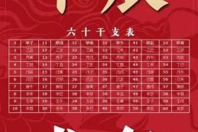 中国历史上的龙年发生过哪些大事，龙年有什么大事件